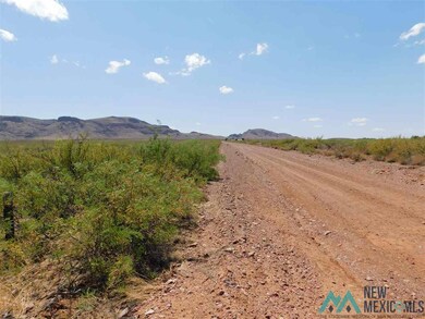 - Dr Unit 105 Bk 7, Deming, NM 88030 - photo 4