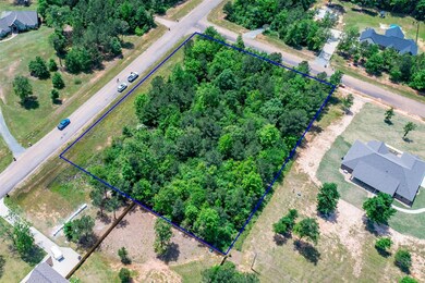 TBD Daniel Lee Ln, Texarkana, TX 75501 - photo 4