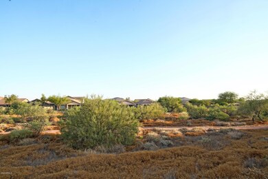 Desert Views