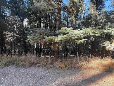 Lot 72 Mammoth Mountain Rd, Angel Fire, NM 87710 - photo 6