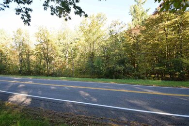 0 Tbd Upper Cady Rd unit 201827580, Chatham, NY - photo 3