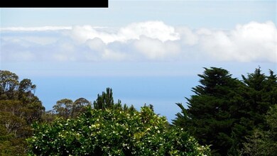 1242 Ehu Rd, Makawao, HI 96768 - photo 2