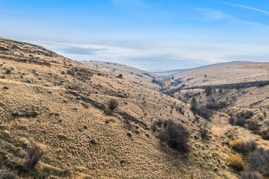 Badger Canyon Rd, Fossil, OR 97830 - photo 3
