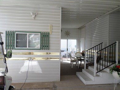 BACK STEPS AND SHED