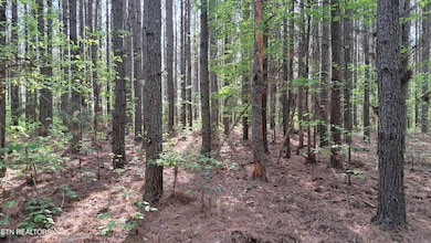 Lot 14 Airport Rd (Pca), Rockwood, TN 37854 - photo 5