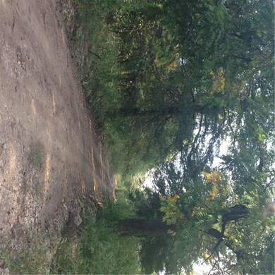 Spider Creek Rd in front of home