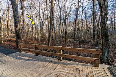 55 Pardon's Wood Ln, East Greenwich, RI 02818 - photo 4