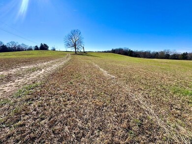 18400 Liberty Dr, Natural Dam, AR 72948 - photo 6