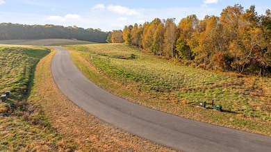 Lot 23 Bravo Way, Talking Rock, GA 30175 - photo 3