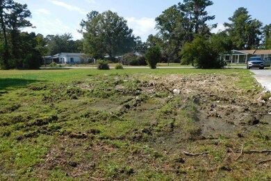 168 Sandy Dr, Jacksonville, NC 28546 - photo 7