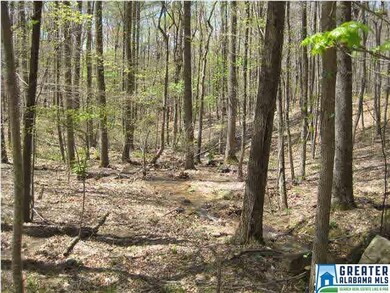 Babbling brook runs on left side/border of lot