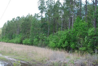 0000000000 Mill Creek SE, Bolivia, NC 28422 - photo 6