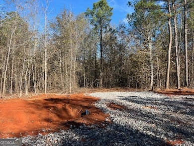 150 Berry Rd, Barnesville, GA 30204 - photo 2