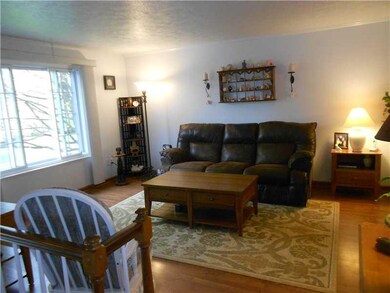 Living Room. Laminate in living room