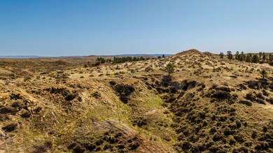 dji_20250410110135_0912_d_930