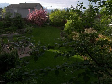 Back yard