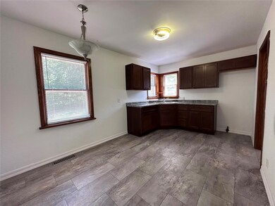 828 Vernon Ave, Farmington, MO 63640 - photo 5