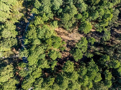 Lot 7 Pintail Dr, Flint, TX 75762 - photo 6