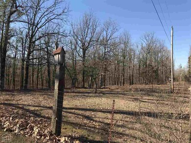 3261 Gr 716 Rd, Jonesboro, AR 72401 - photo 6