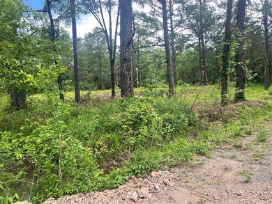 View of woods
