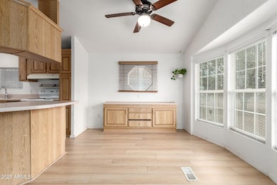 1325 E 19th Ave, Apache Junction, AZ 85119 - photo 5