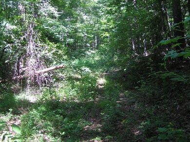 39a 001