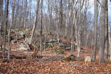 Route 301 New York 301, Carmel Hamlet, NY 10512 - photo 4