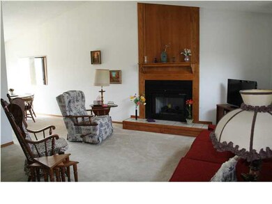 Spacious Living Room with fireplace and great natu