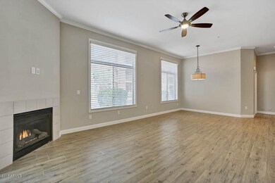Gas Fireplace and Ceiling Fan