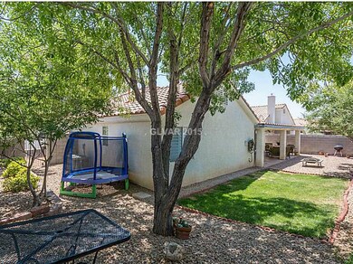 Yard/Garden.