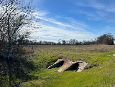 10207 W Ennis Ave, Ennis, TX 75119 - photo 4