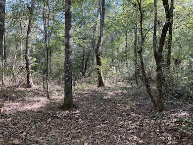 3200 Alabama 10, Brundidge, AL 36010 - photo 4