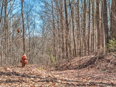 0 Lafon Rd unit RTC2908375, Bath Springs, TN 38311 - photo 5