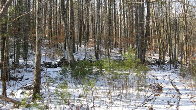 48 Chamberlin Way, New Durham, NH 03855 - photo 4