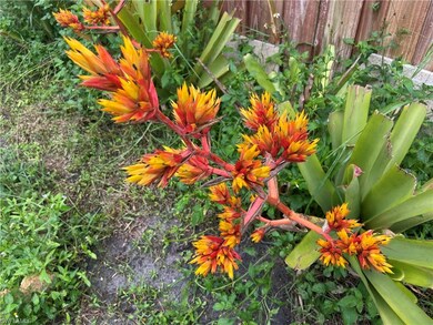 unlisted-address, Naples, FL 34103 - photo 7