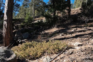 11722 Braun Way, Conifer, CO 80433 - photo 3