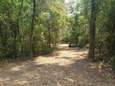 xx Shadeville Rd, Crawfordville, FL 32327 - photo 6