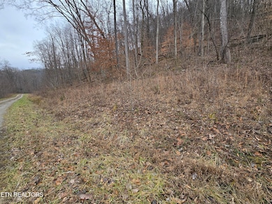 lot 5 Apache Rd, Jamestown, TN 38556 - photo 6