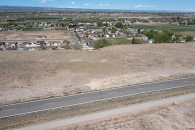TBD Sunset Mesa Lot 3 Rd, Montrose, CO 81403 - photo 6