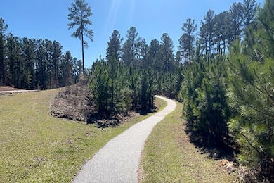 WP Walking trail