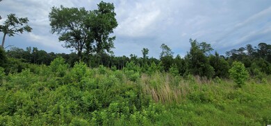 7400 Pauley Swamp Rd, Conway, SC 29527 - photo 3