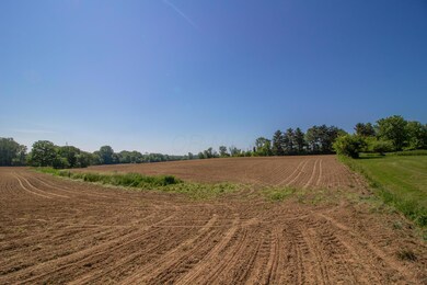 IMG_7572