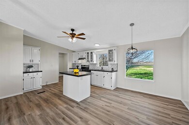 146 Layfield Ln, Rhome, TX 76078 - photo 5