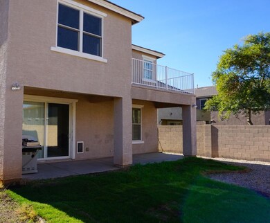 Backyard 2