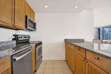 30 E Huron St unit 3204, Chicago, IL 60611 - photo 5