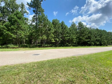 24340 Oak Hollow Blvd, Hockley, TX 77447 - photo 3