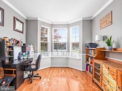 42250 Sand Pine Place, Chantilly, VA 20152 - photo 7