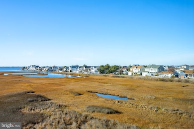 119 Old Landing Rd unit 302B, Ocean City, MD 21842 - photo 4