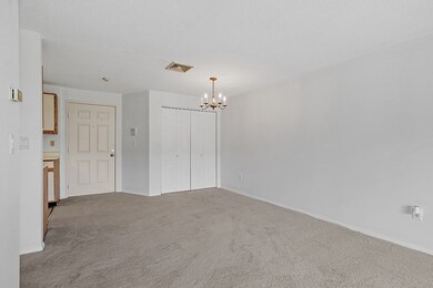 15 Blackstone Dr unit 21, Nashua, NH 03063 - photo 7