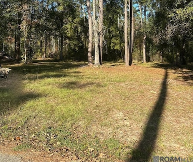 31581 River Pines Dr, Springfield, LA 70462 - photo 2